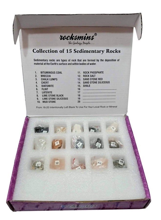 Rocksmins SR15PT Sedimentary Rocks Collection for Education - Image 1
